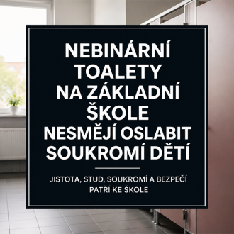 Nebinární toalety na školách jako ideologický precedens Nebinární toalety na školách jako ideologický precedens