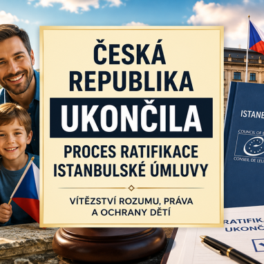 Ukončení ratifikace Istanbulské úmluvy je polovičním řešením