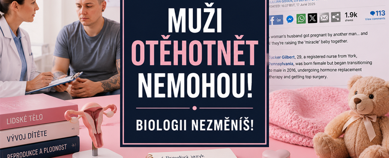 Vznik těhotenství má konkrétní biologické podmínky Publicistická debata má začít přesným popisem