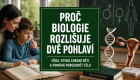 Proč biologie rozlišuje dvě pohlaví